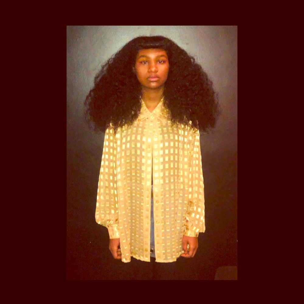 Sheer Long Sleeved Blouse in Golden Hues